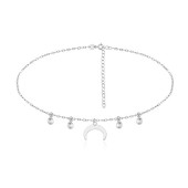 Choker argint cu luna si cristale DiAmanti ALCH0017RH-AS